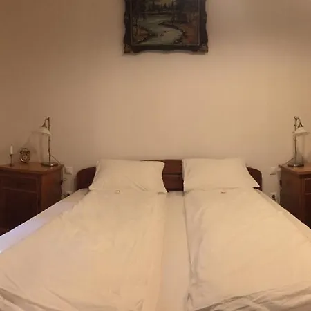 Erdo Szelen Haziko Apartament *